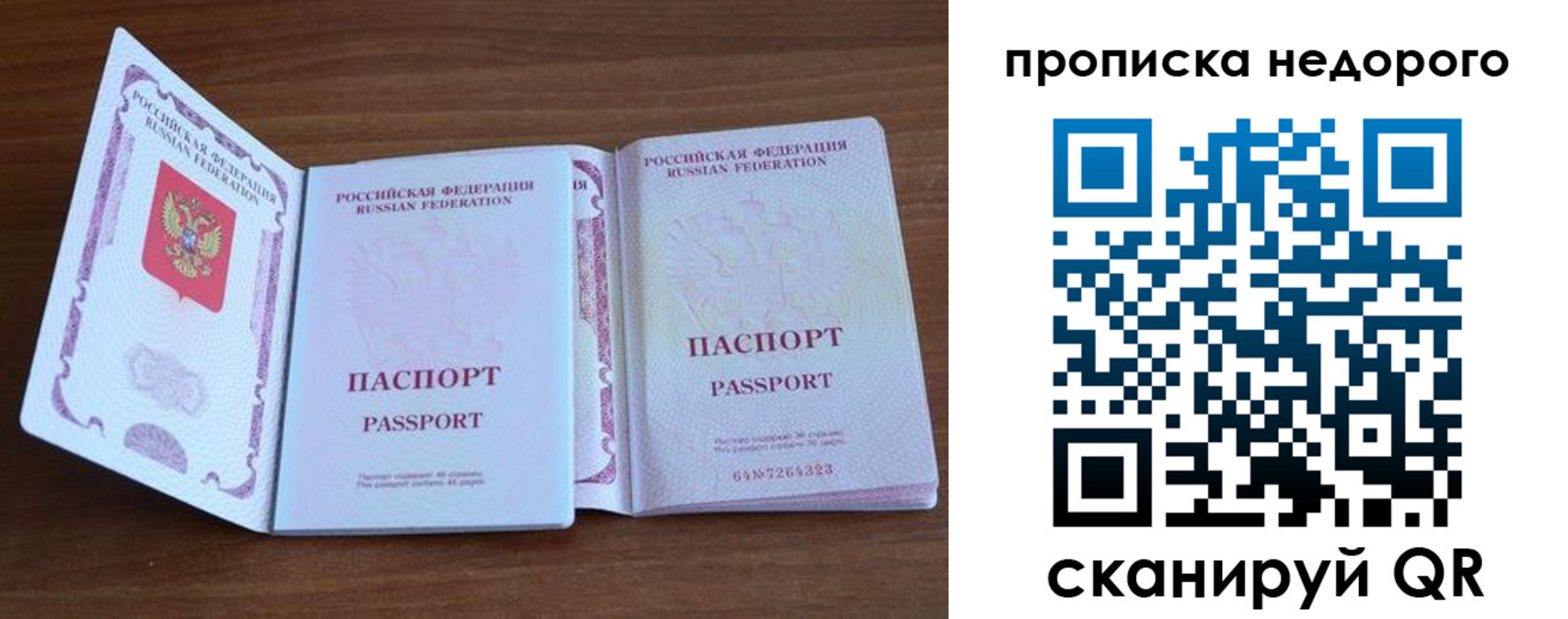 прописка поиск в Сарове